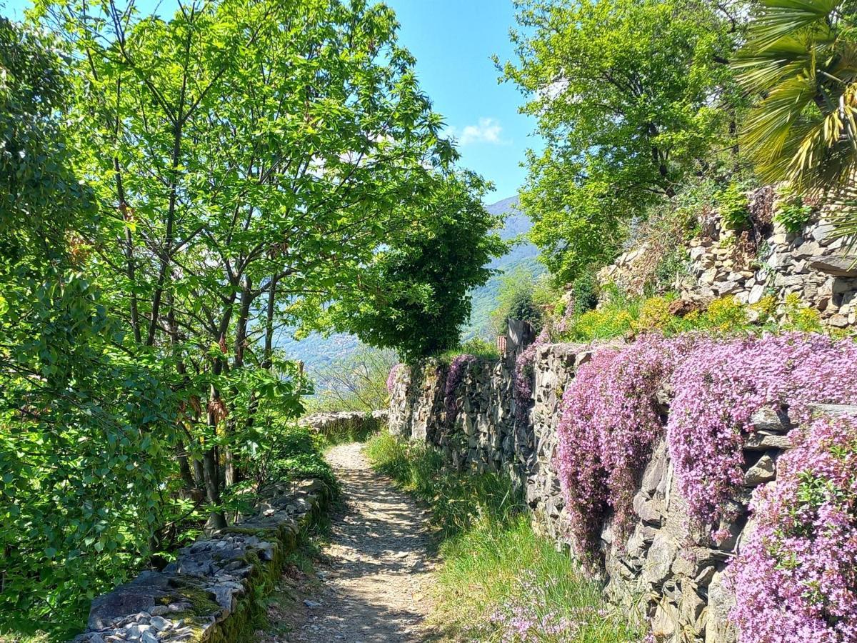 Antica Casa Al Lago Oggebio Exterior foto